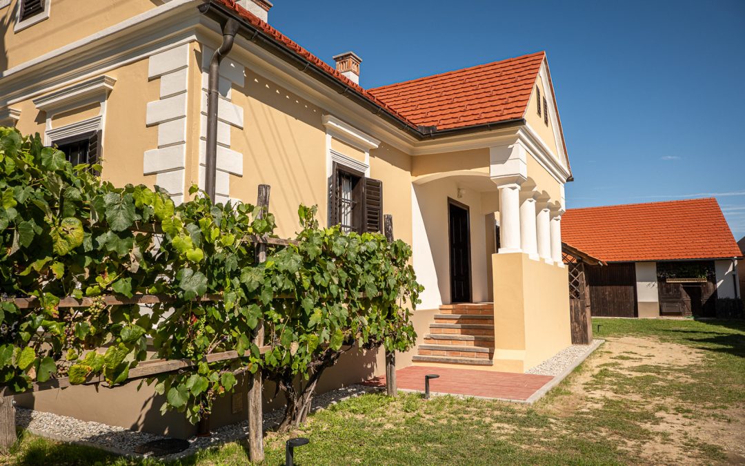 Pot, ki se konča pri Ritlopovi domačiji – in se tam pravzaprav šele začne