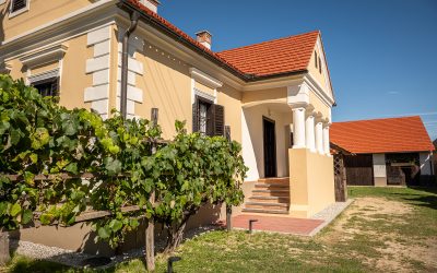 Pot, ki se konča pri Ritlopovi domačiji – in se tam pravzaprav šele začne